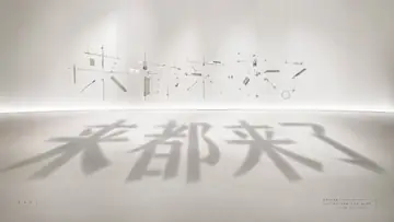 Infographic / Edu Visual - Shadow Text Installation Art