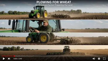 Farmer Plowing Wheat Field