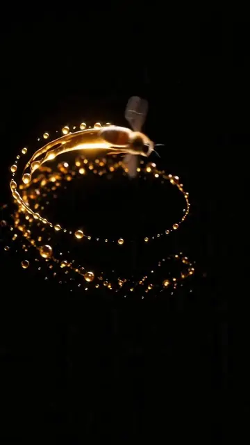Luxury Macro Transformation Sequence