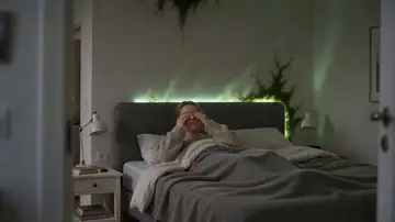 Surreal Apartment Forest Transformation