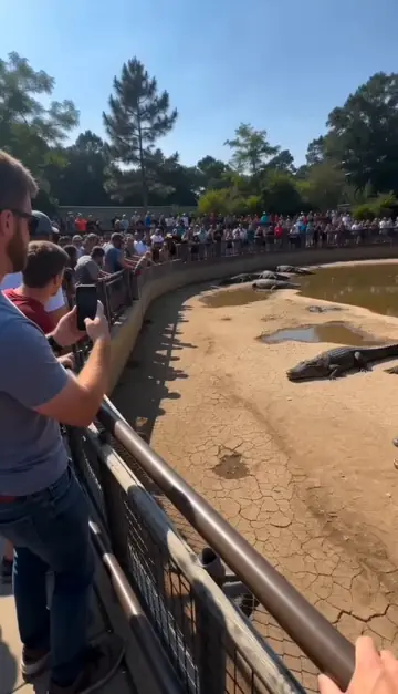 Viral Smartphone Zoo Rescue Scene