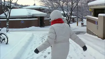 Winter Snow Walk VHS Style
