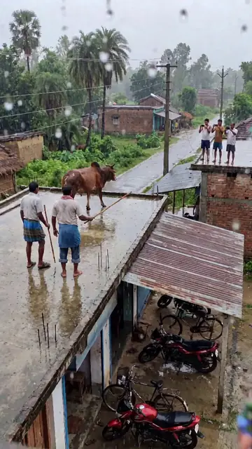 Kung-Fu Revenge Duel in Snowy Temple
