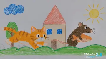 Premium Shampoo Commercial Storyboard