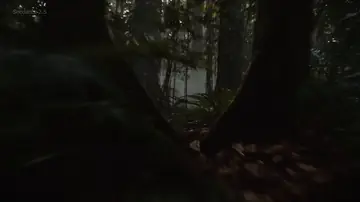 Amazon Rainforest Horror Monster Encounter