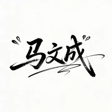 Ma Wencheng Artistic Signature Design
